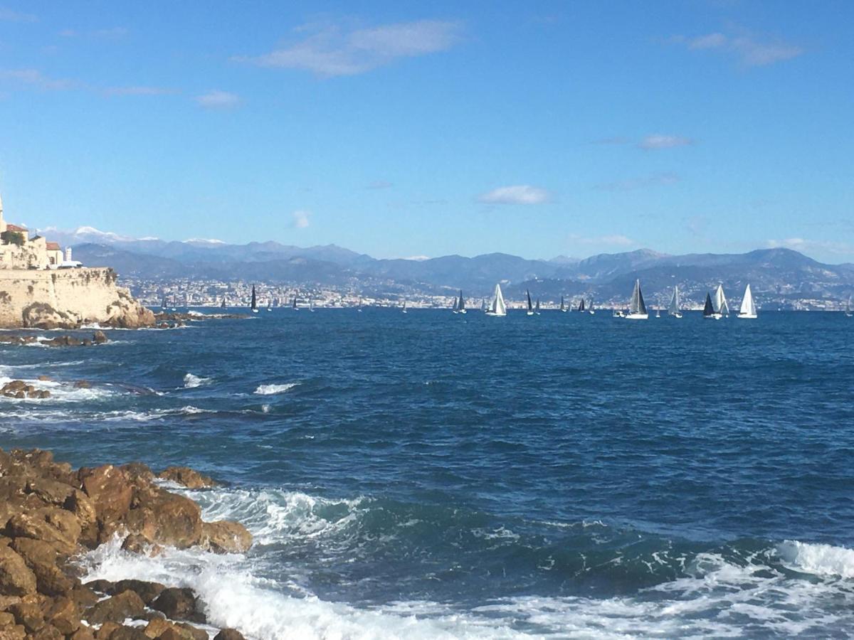 Tortue De Mer Antibes Buitenkant foto
