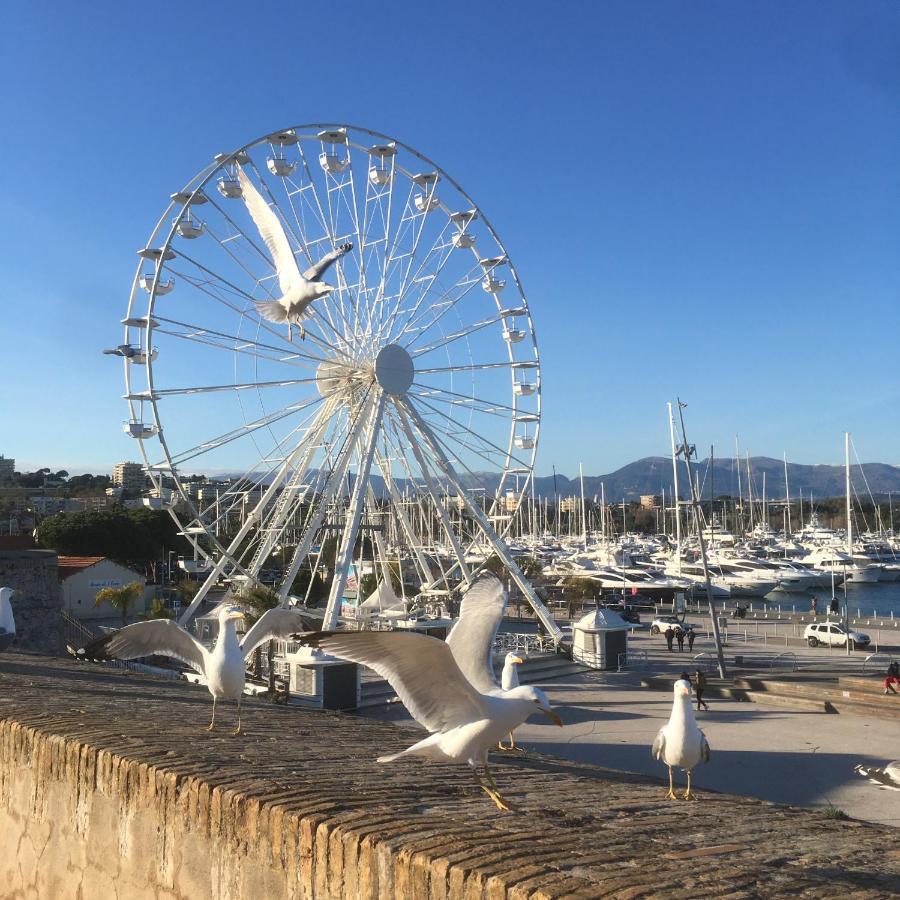 Tortue De Mer Antibes Buitenkant foto